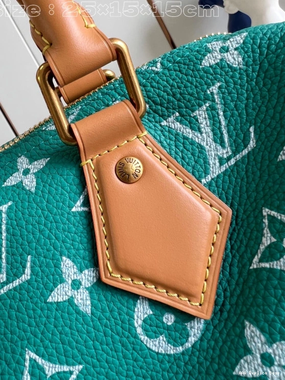 Aaa replica ru SPEEDY 25 Vuitton Louis 0709
